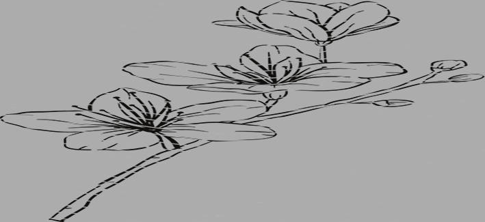 16oz Element-EN-1210